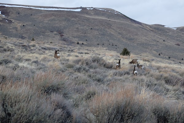 The birthplace of Pepsi was a really cute place! we liked that they took pride in preserving the history and buildings alike