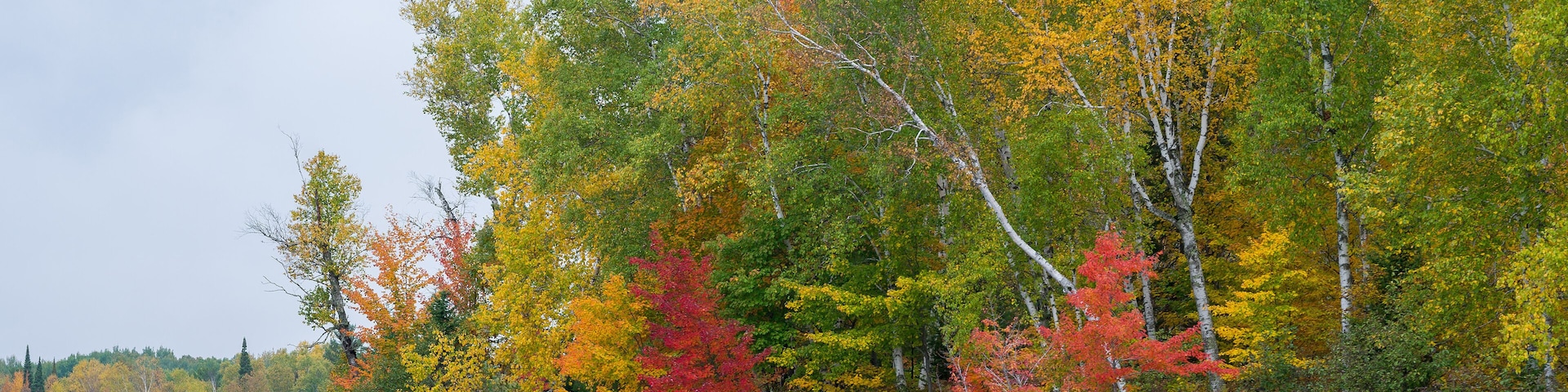 Fall colors along a northern Wisconsin lake shorline in Sawyer county