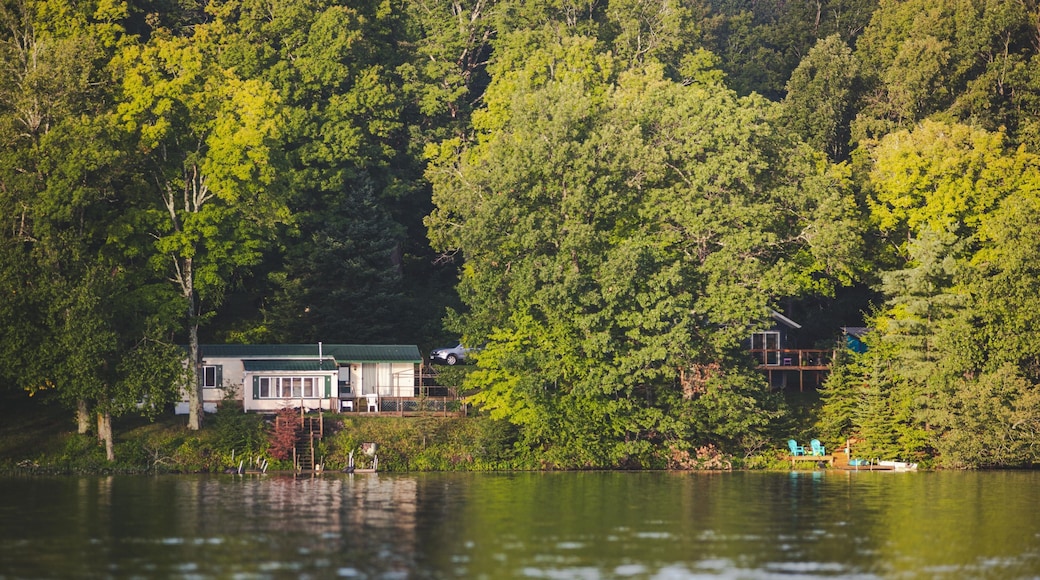 Scenic view of McClaine lake in Hayward, Wisconsin with green forest and a cabin in it