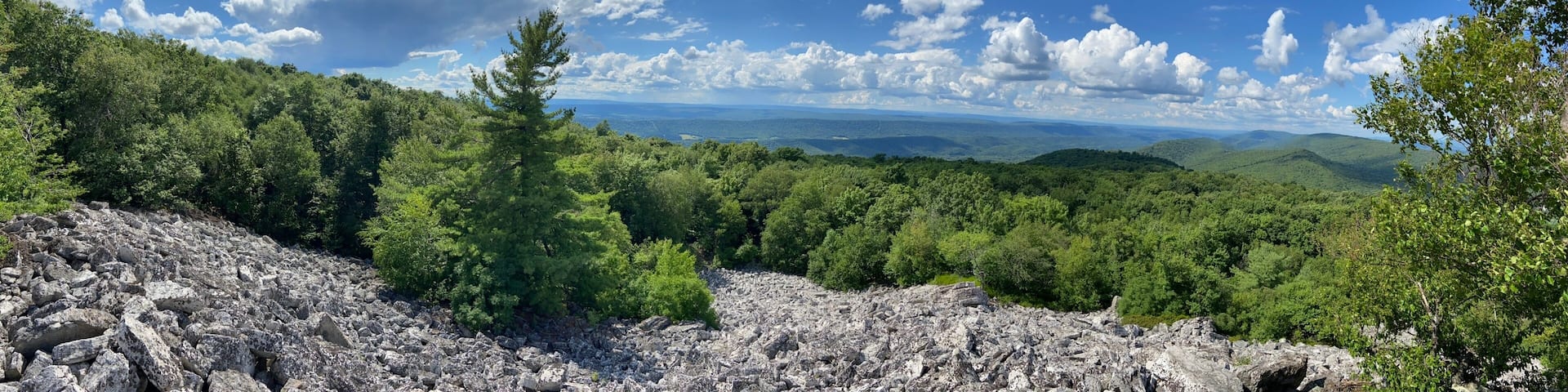 A rocky terrain with dense green forest and a distant view of rolling hills under a partly cloudy sky.