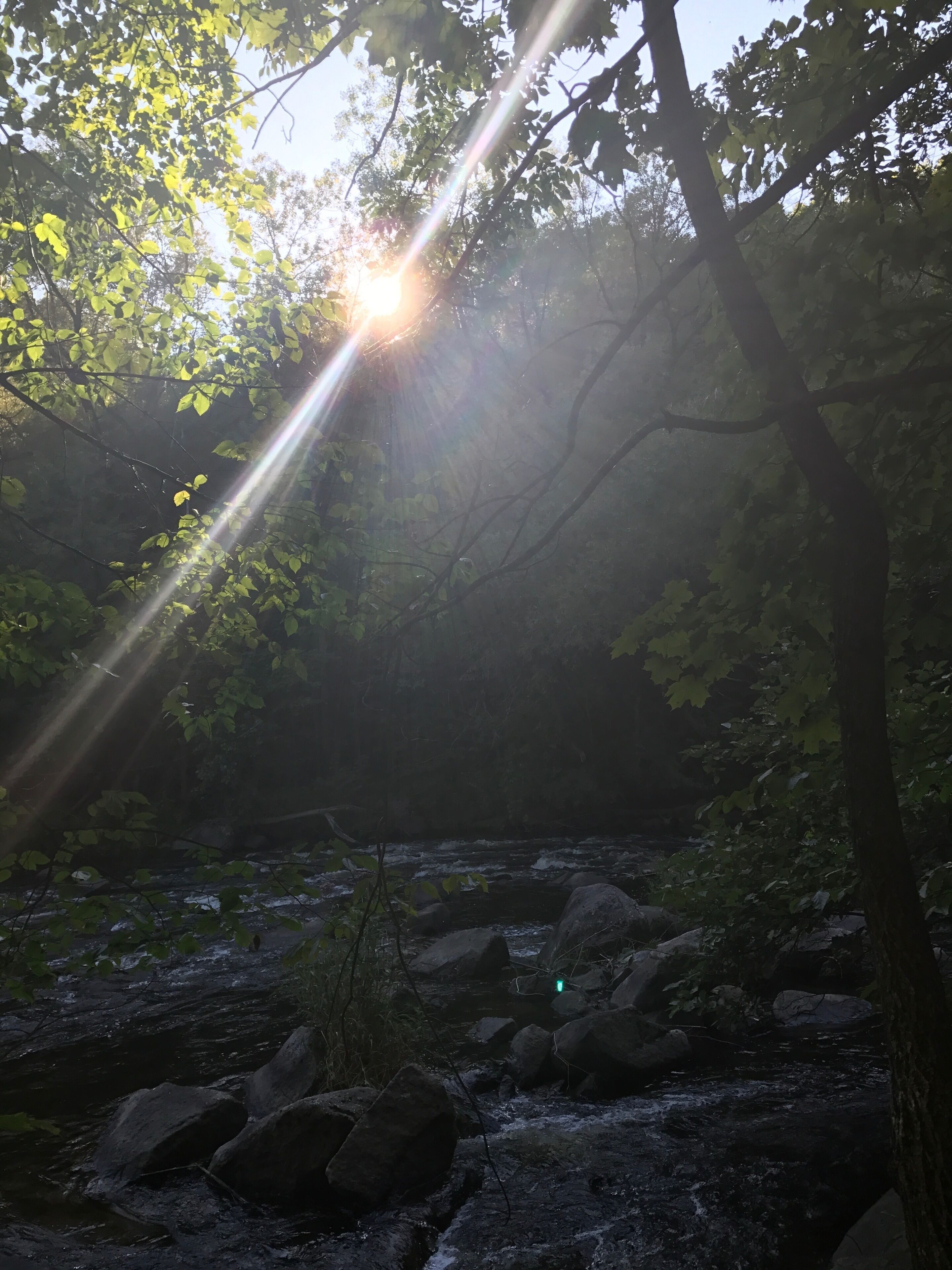 Nature at it’s best