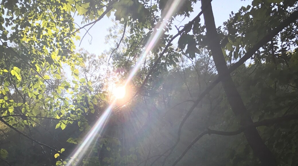 Nature at it’s best