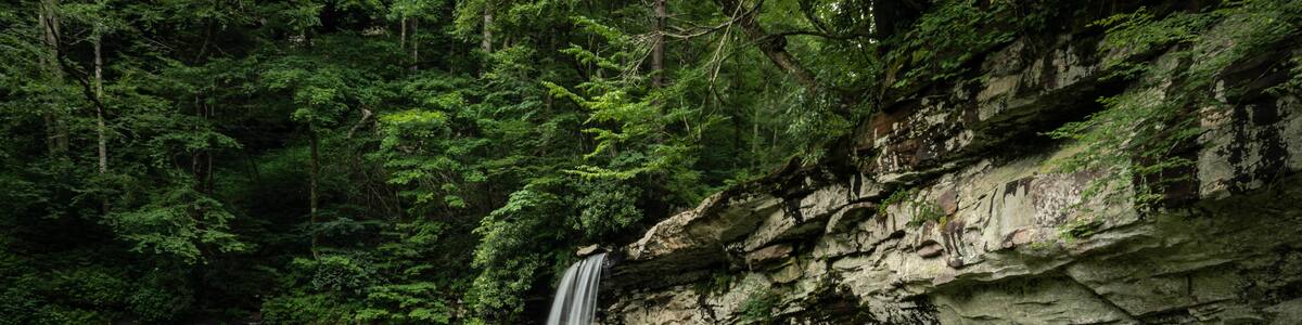 tall waterfall in the forest