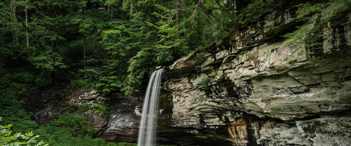 tall waterfall in the forest