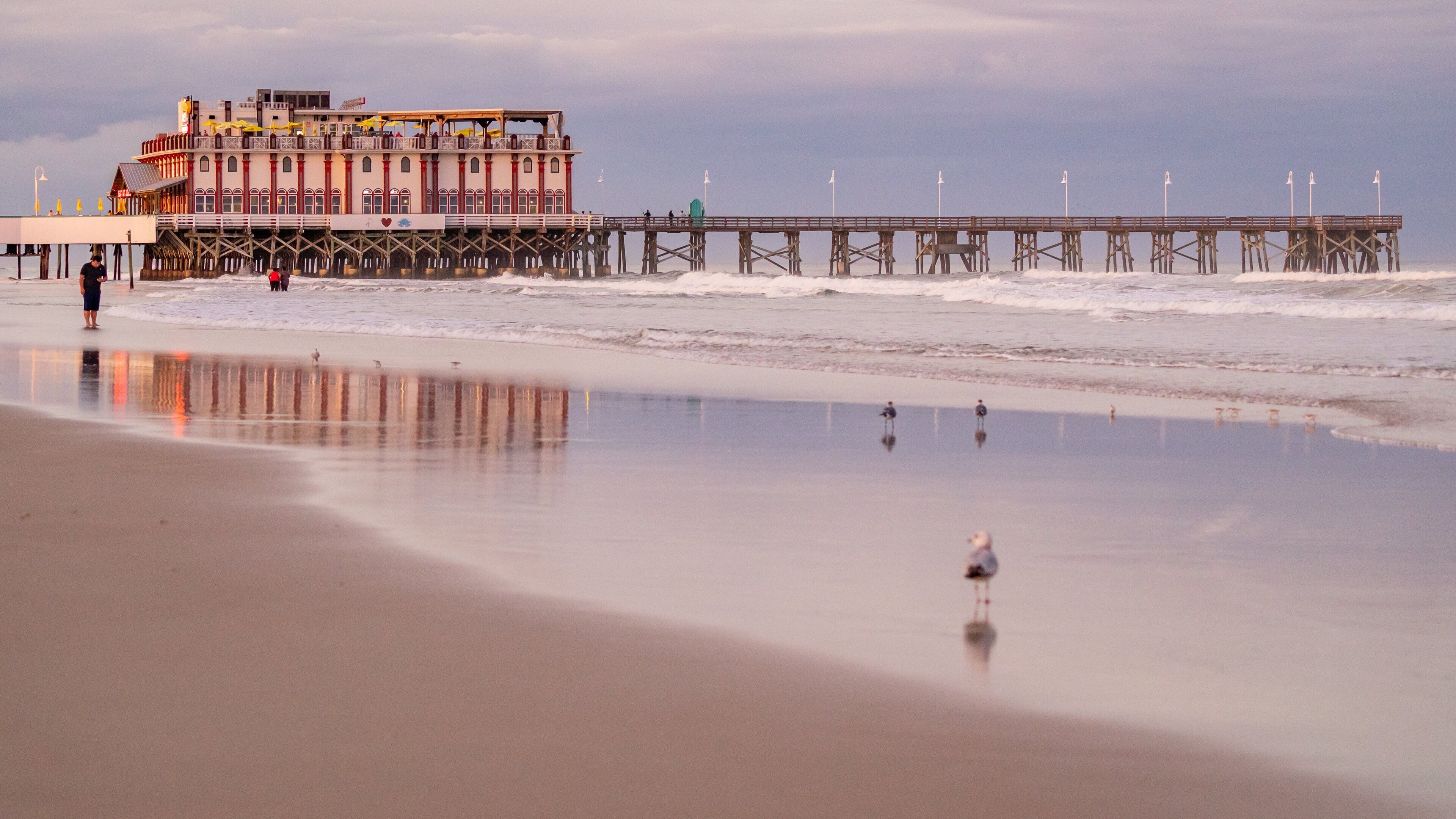 Daytona Beach Pier showing a beach and general coastal views