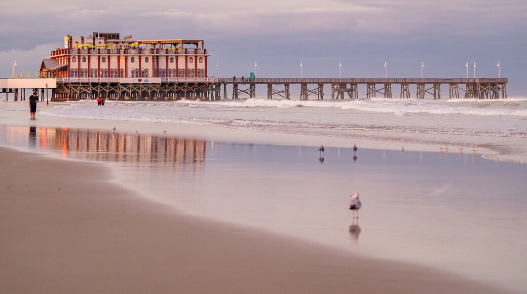 Daytona Beach Pier showing a beach and general coastal views