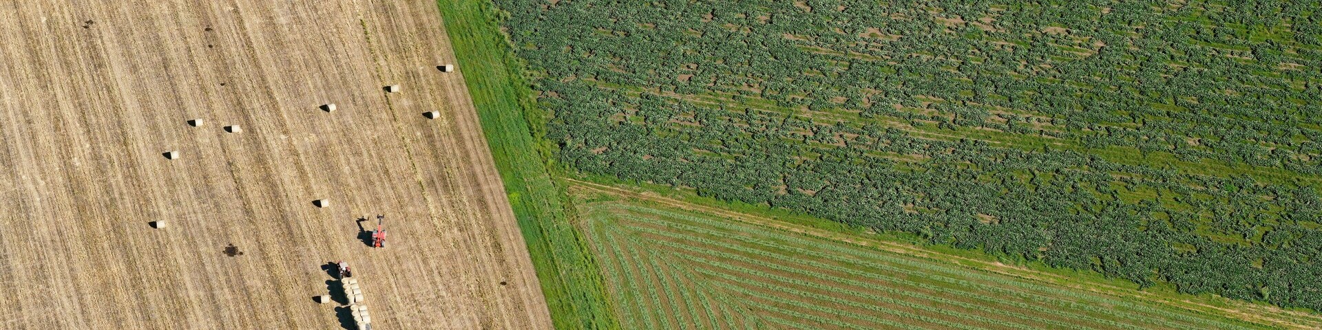 Aerial view of agricultural fields in the Lockyer Valley, Queensland, Australia