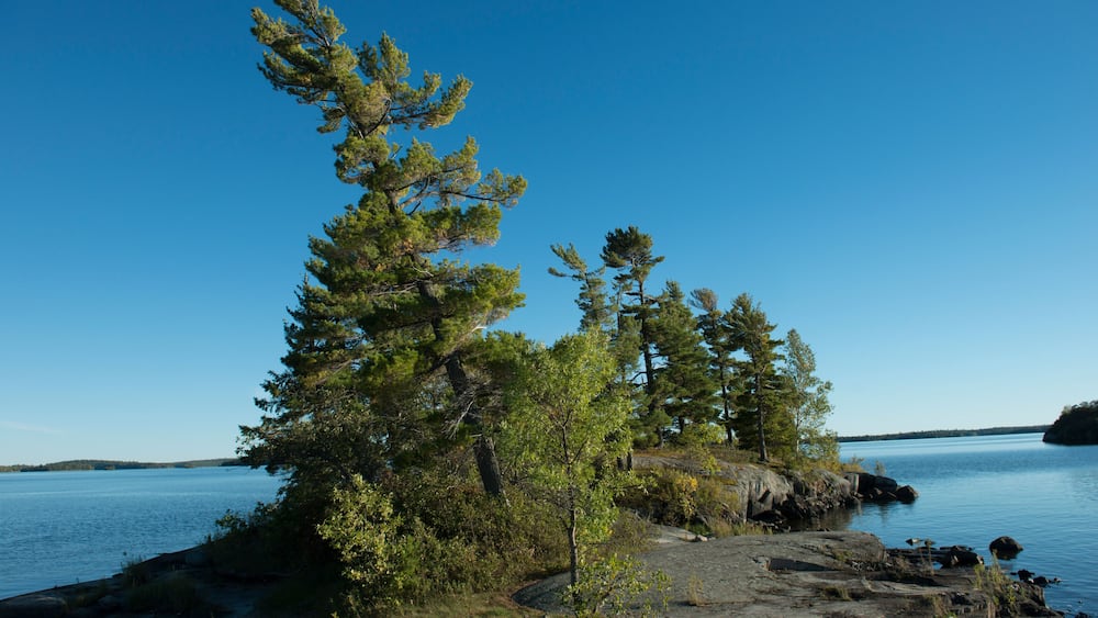 A rocky shoreline with trees and calm water.