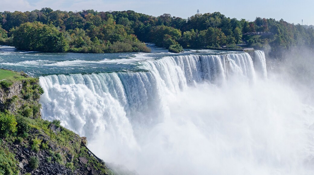 Niagara