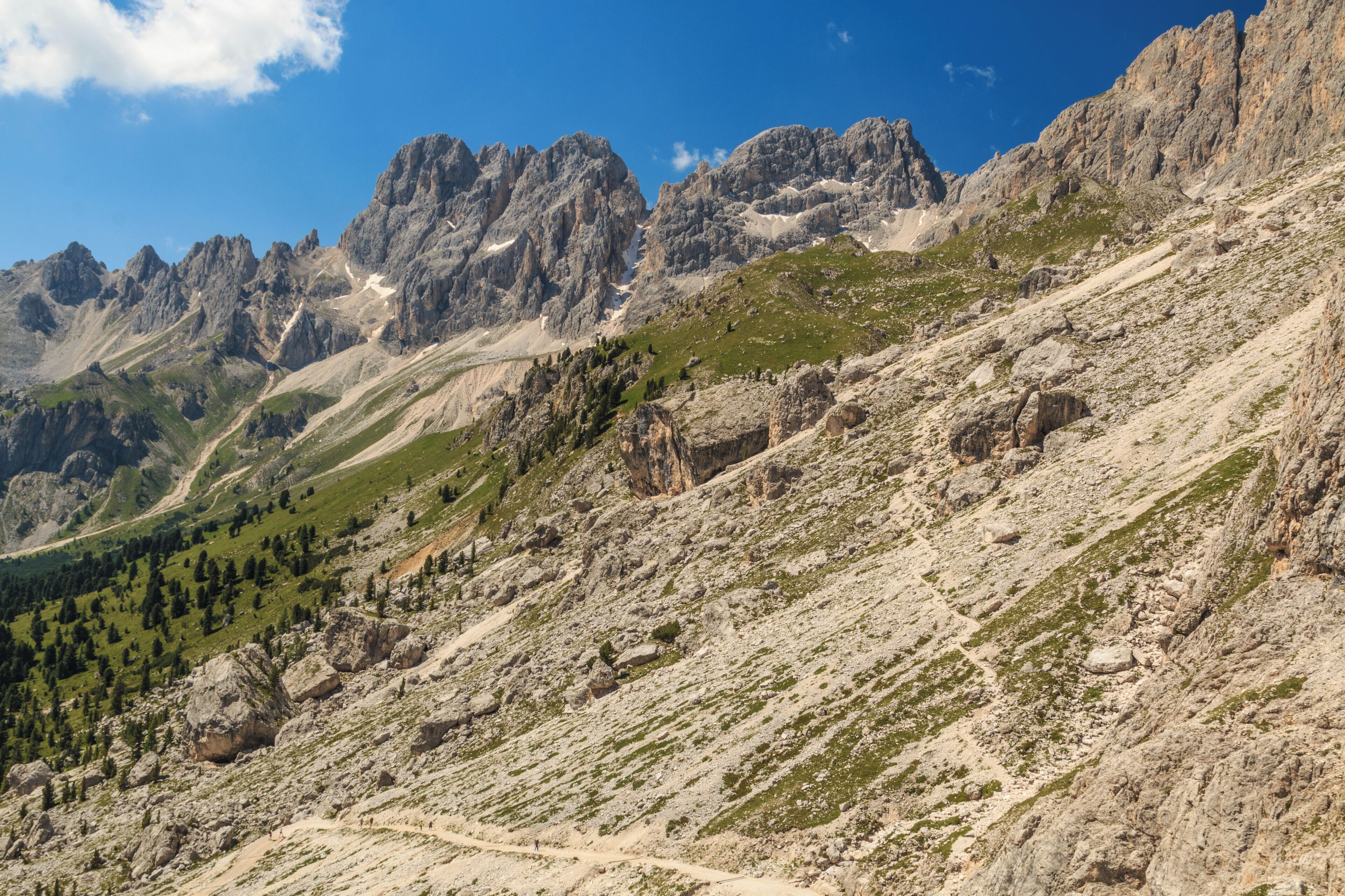 view from rifugio Preuss in July 2015