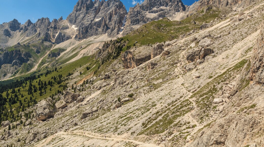 view from rifugio Preuss in July 2015