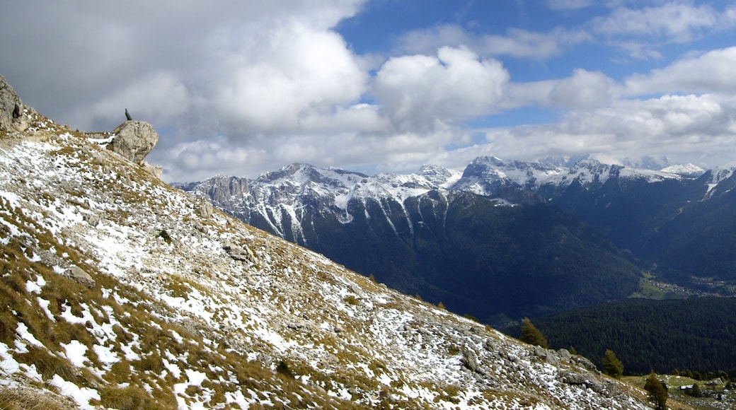 Climbing Rosengarten