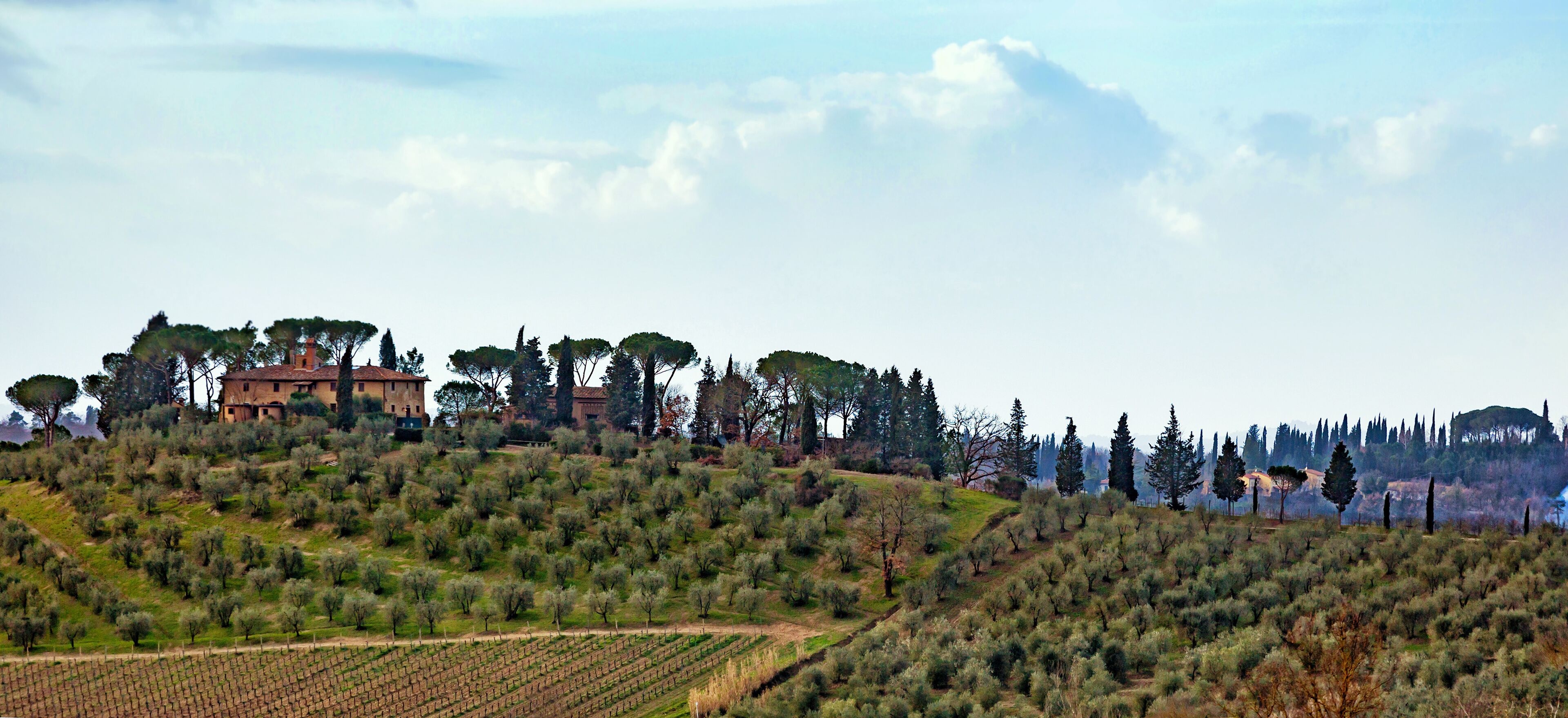 Tuscan landscape with cypress, trees and ancient buildings.