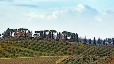 Tuscan landscape with cypress, trees and ancient buildings.