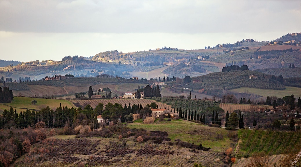 Barberino Tavarnelle