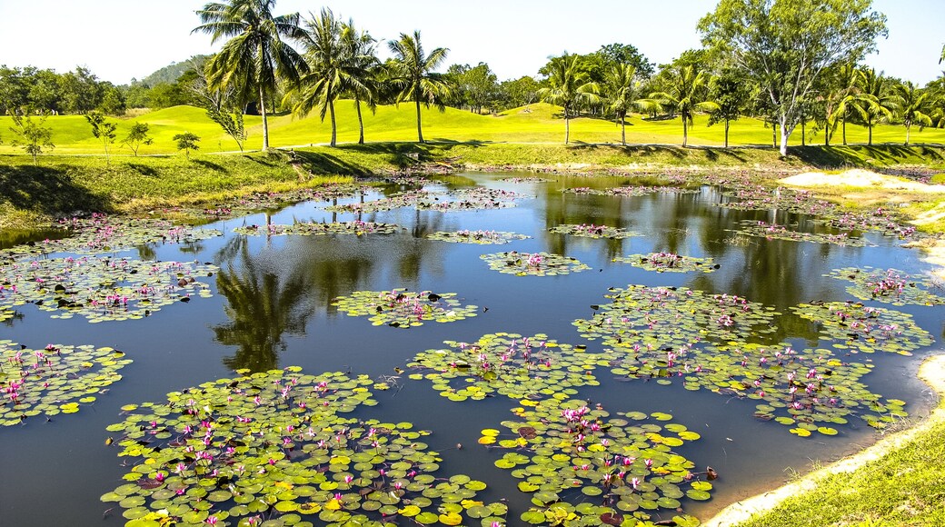 Beautiful lake in the middle of a scenic golf course near Pattaya, Chonburi on December 28, 2010. Pattaya has 25 golf courses close to the city and resorts.