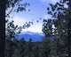 Statuesque pikes peak viewed from Fox Run Park. It stands 14,115 ft. tall and still has its little snow cap from winter. #mountains #colorado #frontrange #14ers