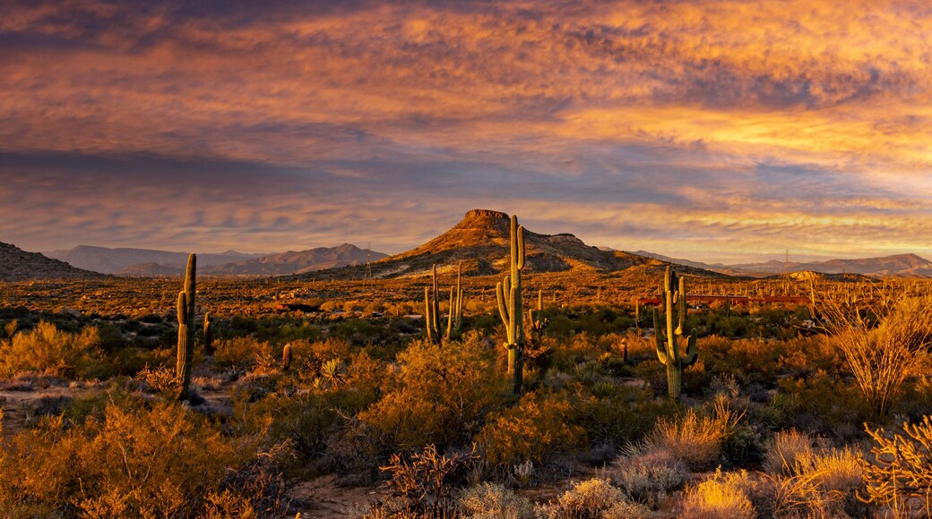Dusk Time At Browns Ranch Desert Preserbe In North Scottsdale, AZ