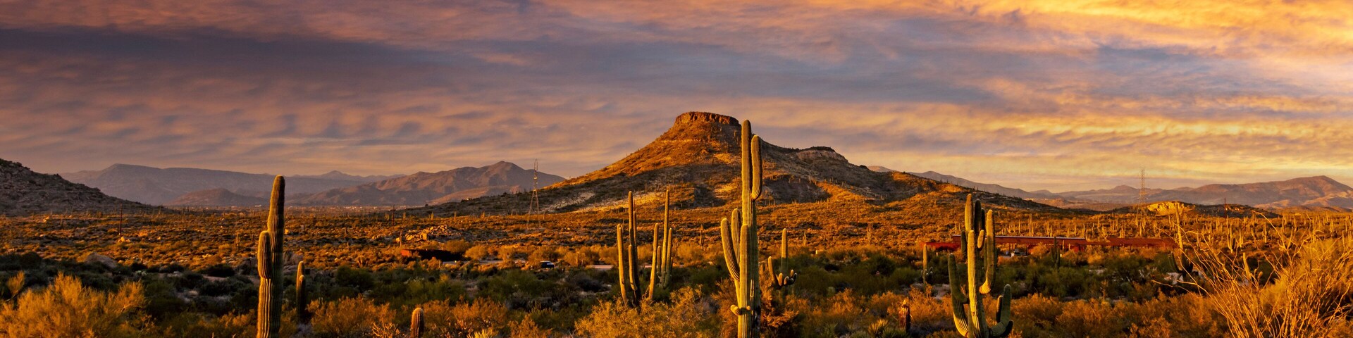 Dusk Time At Browns Ranch Desert Preserbe In North Scottsdale, AZ