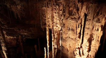 Stalactites and stalagmites inside Mammoth Cave National Park