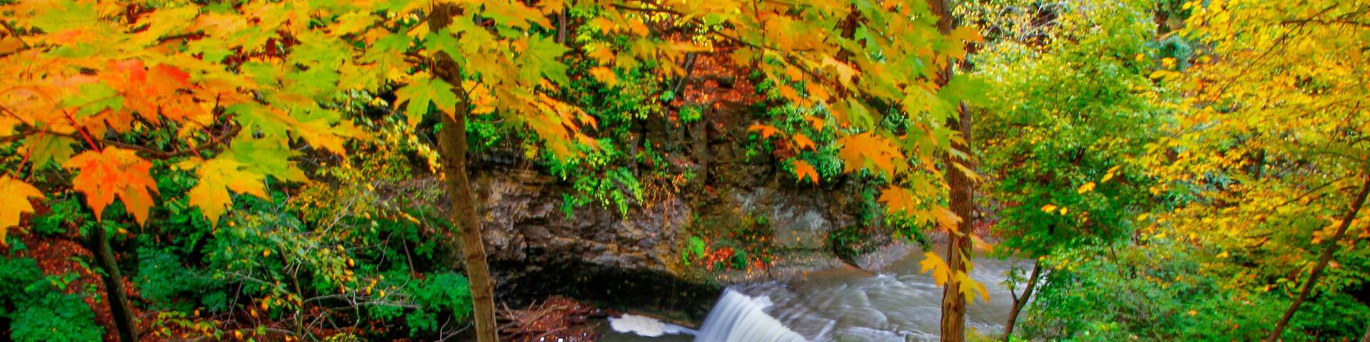 A waterfall in a forest with autumn foliage.