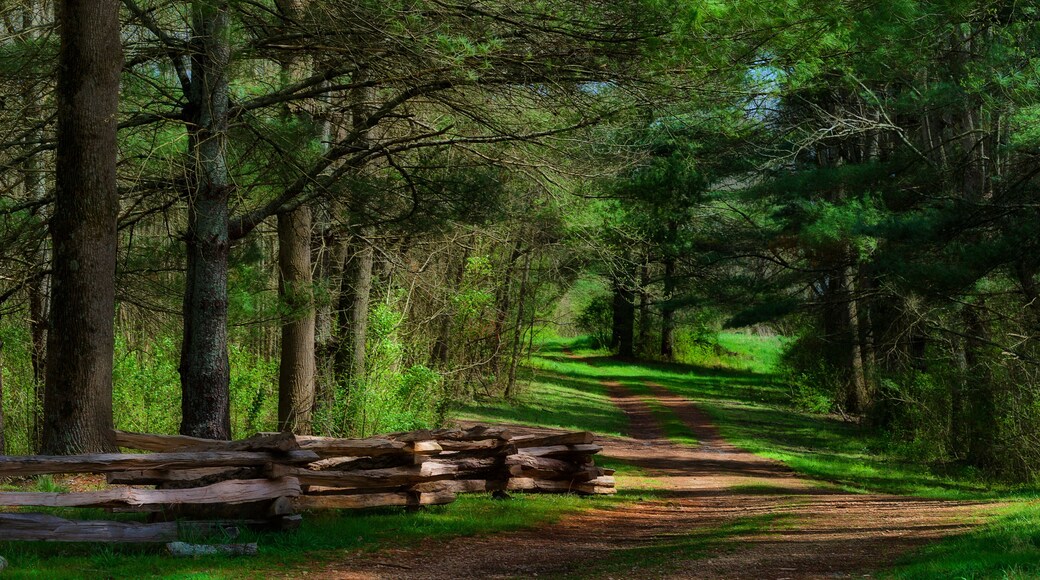 David Crockett Brithplace State Park Limestone,Tennessee