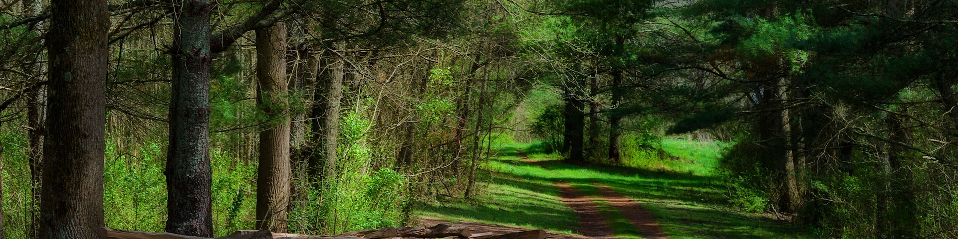 David Crockett Brithplace State Park Limestone,Tennessee
