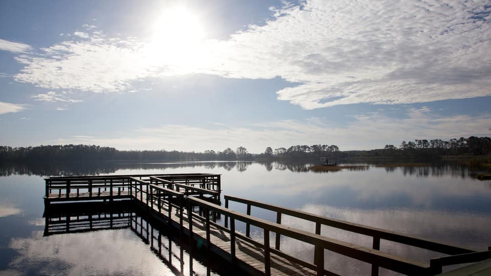 fishing pier on a blue sky day