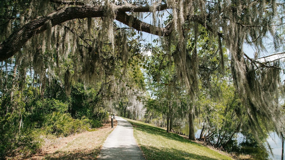 Bahama Bay which includes a garden