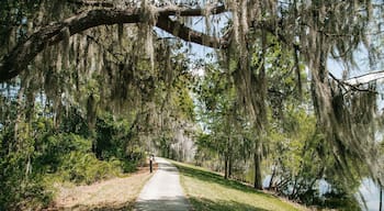 Bahama Bay which includes a garden