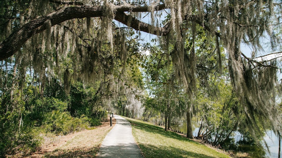 Bahama Bay which includes a garden