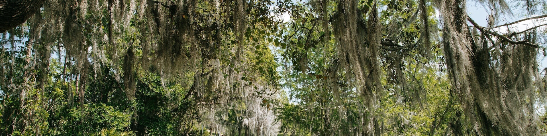 Bahama Bay which includes a garden