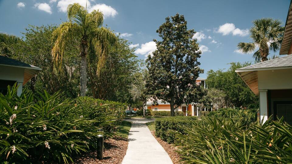 Bahama Bay showing a garden