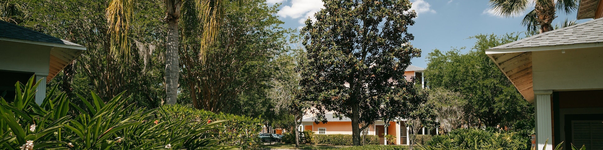 Bahama Bay showing a garden