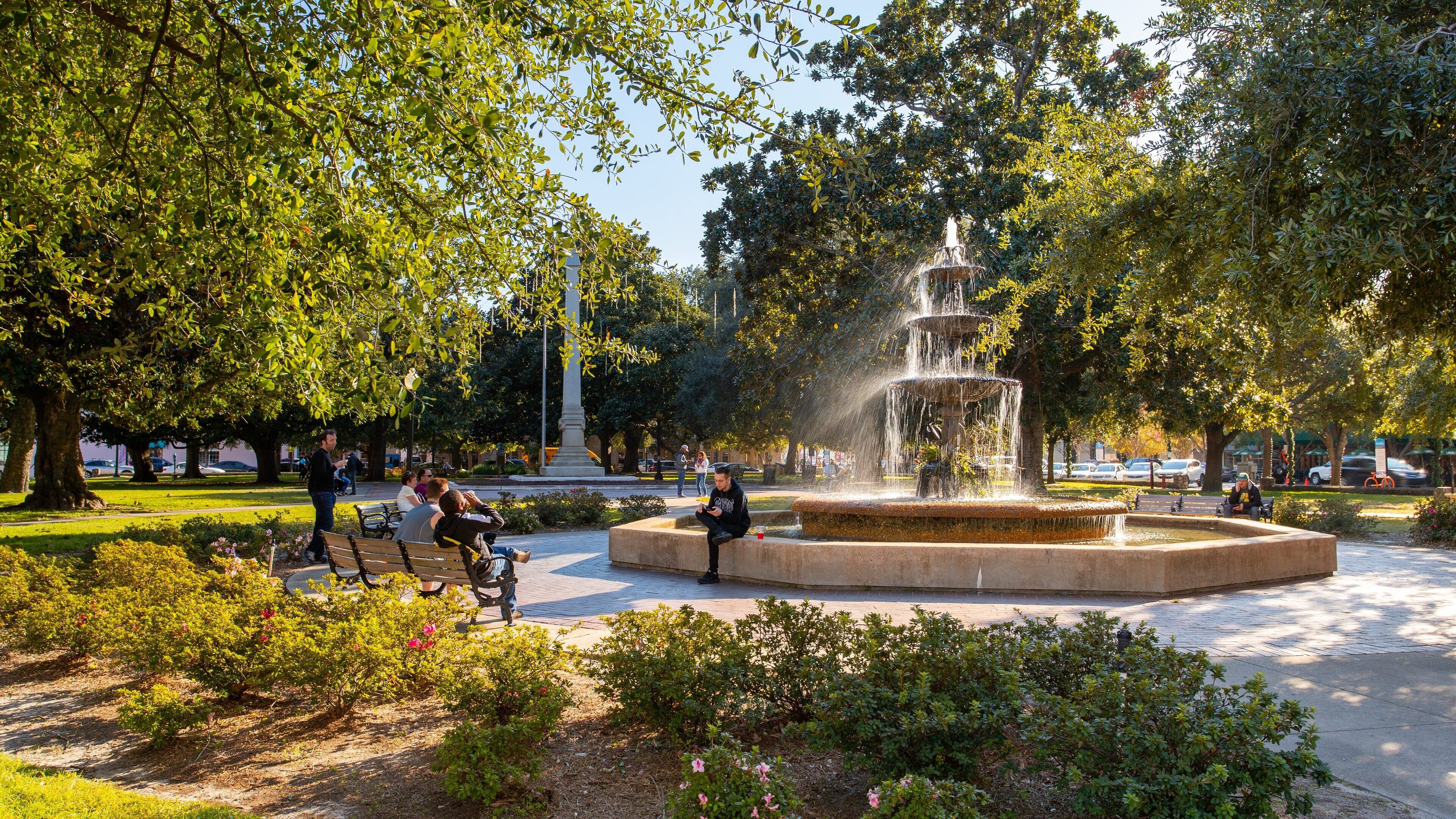 Downtown featuring a garden and a fountain