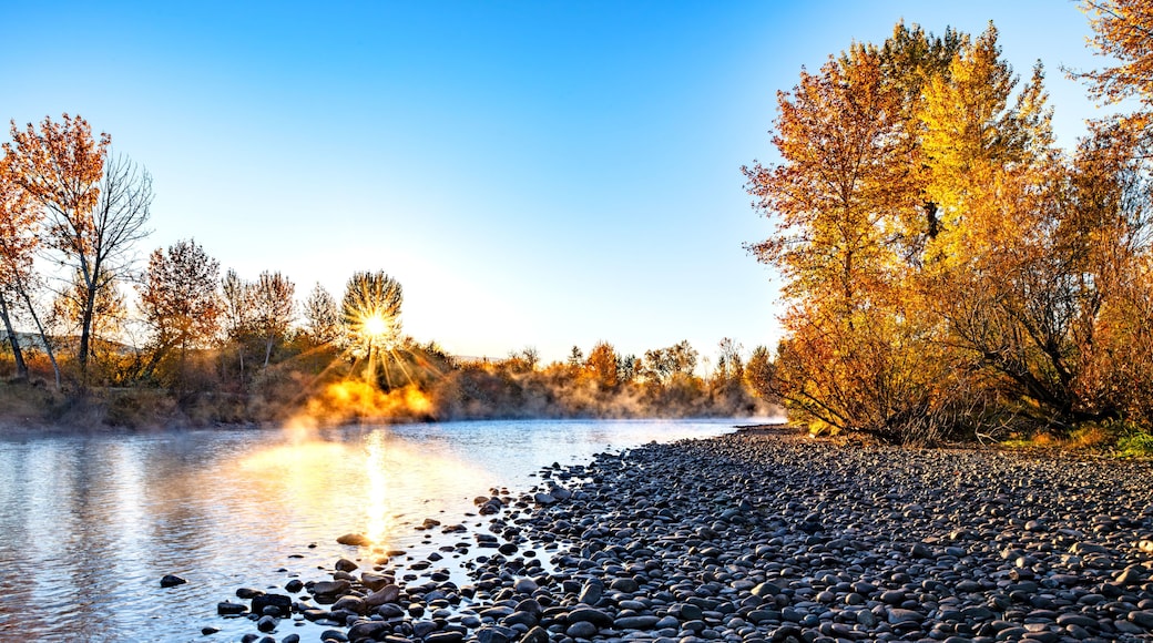 Fall misty sunrise on the Boise River Idaho