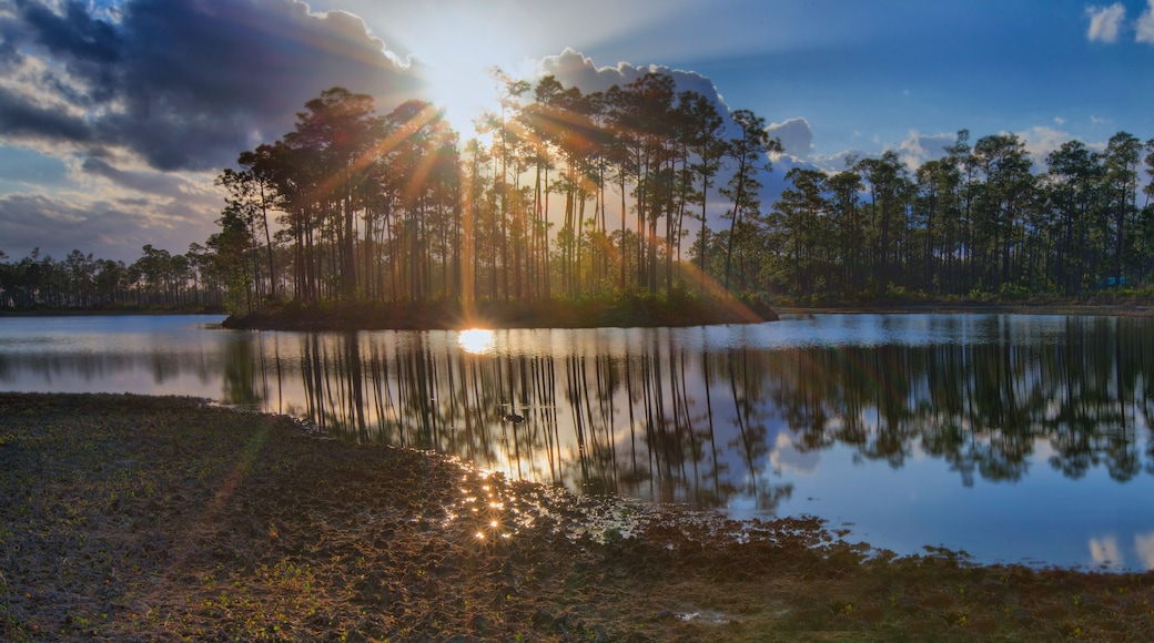 Everglades sunshine - as the sun is setting