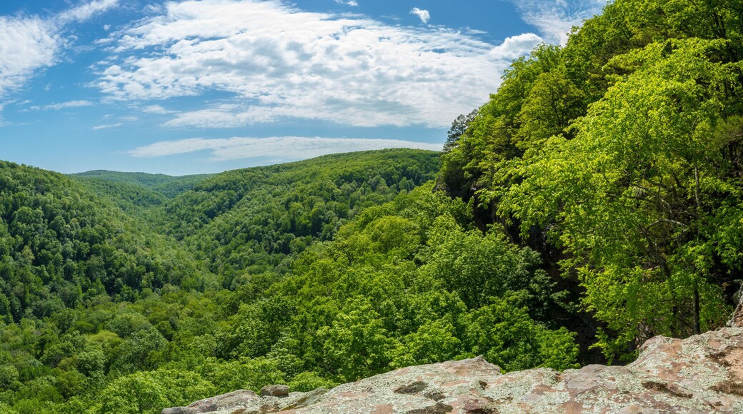 Whitaker Point Landscape view from rock cliff hiking trail, Ozark mountains, nwa northwest arkansas