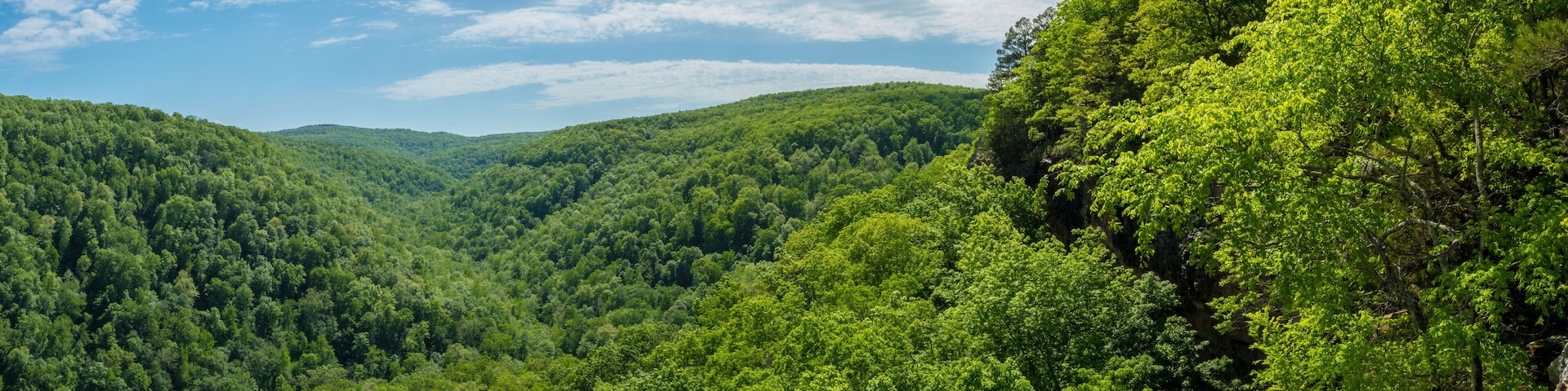 Whitaker Point Landscape view from rock cliff hiking trail, Ozark mountains, nwa northwest arkansas