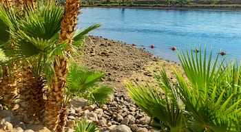 Shore on the Colorado River in Laughlin, Nevada