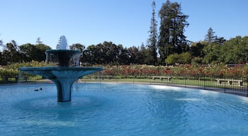 Water fountain in the Municipal Rose Garden in San Jose