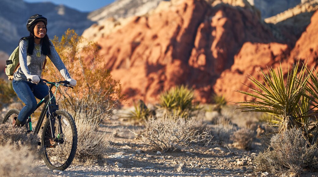 fit african american woman riding bicycle offroad in red rock canyon park panorama