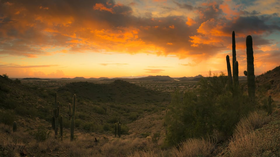 A panorama featuring a sunset in the desert outside of Phoenix, AZ. This image looks to the west with saguaro cactus and mountainous desert terrain.