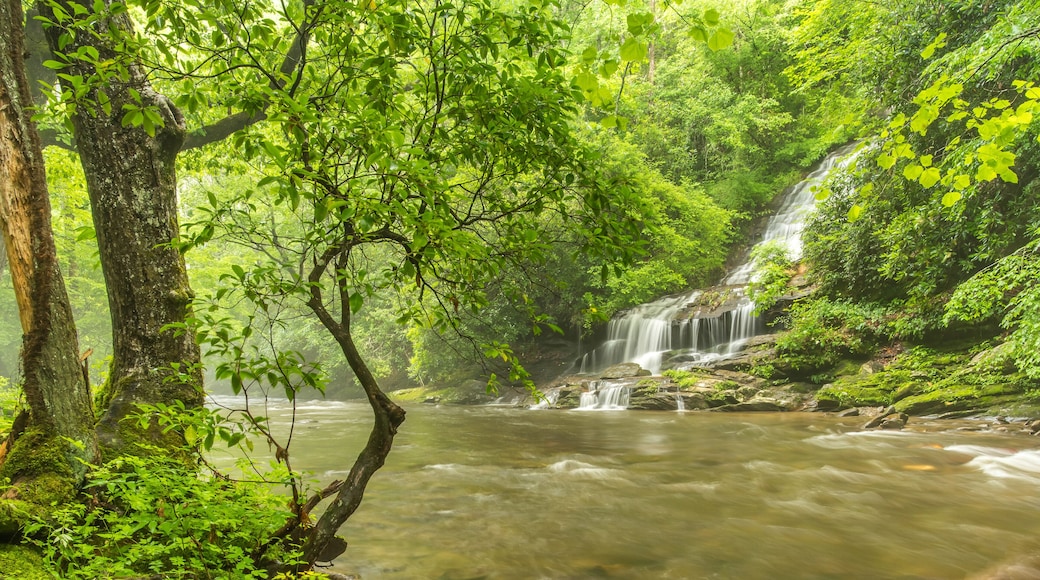 Toms Branch Falls in Great Smoky Mountains National Park, North Carolina