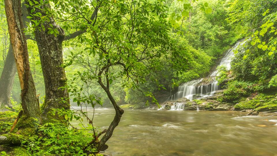 Toms Branch Falls in Great Smoky Mountains National Park, North Carolina