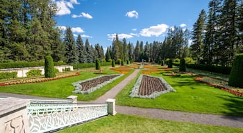 Ein gepflegter Garten mit geometrisch angelegten Blumenbeeten, ordentlich geschnittenen Hecken und verschiedenen Bäumen.