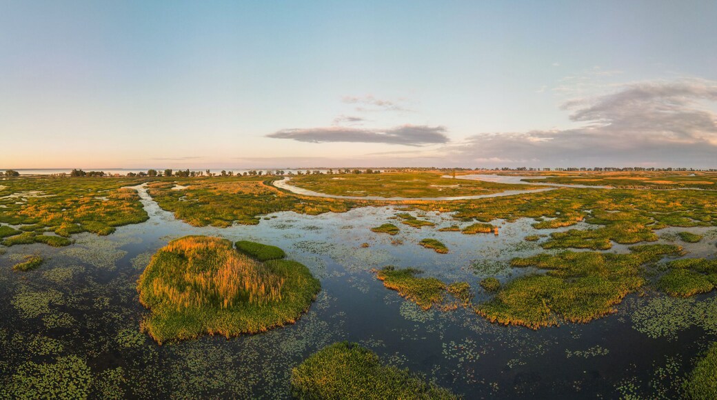 Aerial panoramic sunset sunrise scene at swamps and wetlands of Big Creek National Wildlife Area near Long Point Provincial Park, Lake Erie shore.