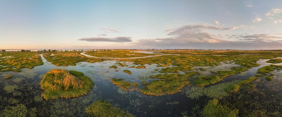 Aerial panoramic sunset sunrise scene at swamps and wetlands of Big Creek National Wildlife Area near Long Point Provincial Park, Lake Erie shore.