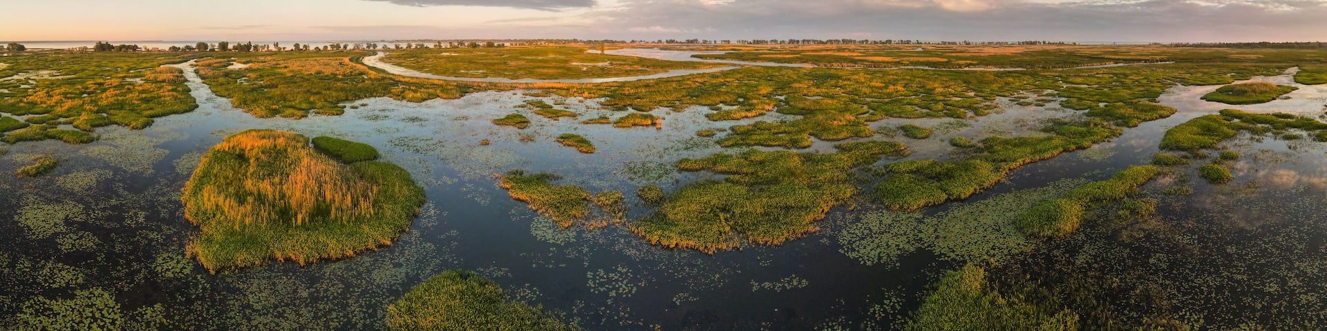 Aerial panoramic sunset sunrise scene at swamps and wetlands of Big Creek National Wildlife Area near Long Point Provincial Park, Lake Erie shore.