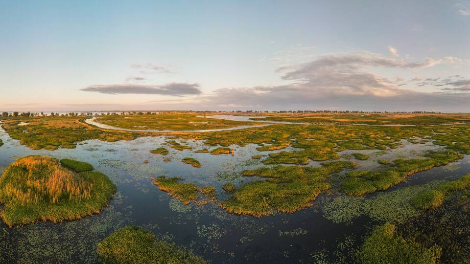 Aerial panoramic sunset sunrise scene at swamps and wetlands of Big Creek National Wildlife Area near Long Point Provincial Park, Lake Erie shore.